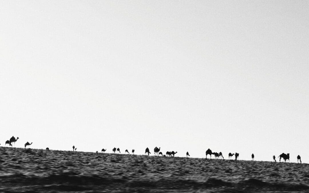 Ramadan Mubarak from Surf Maroc!