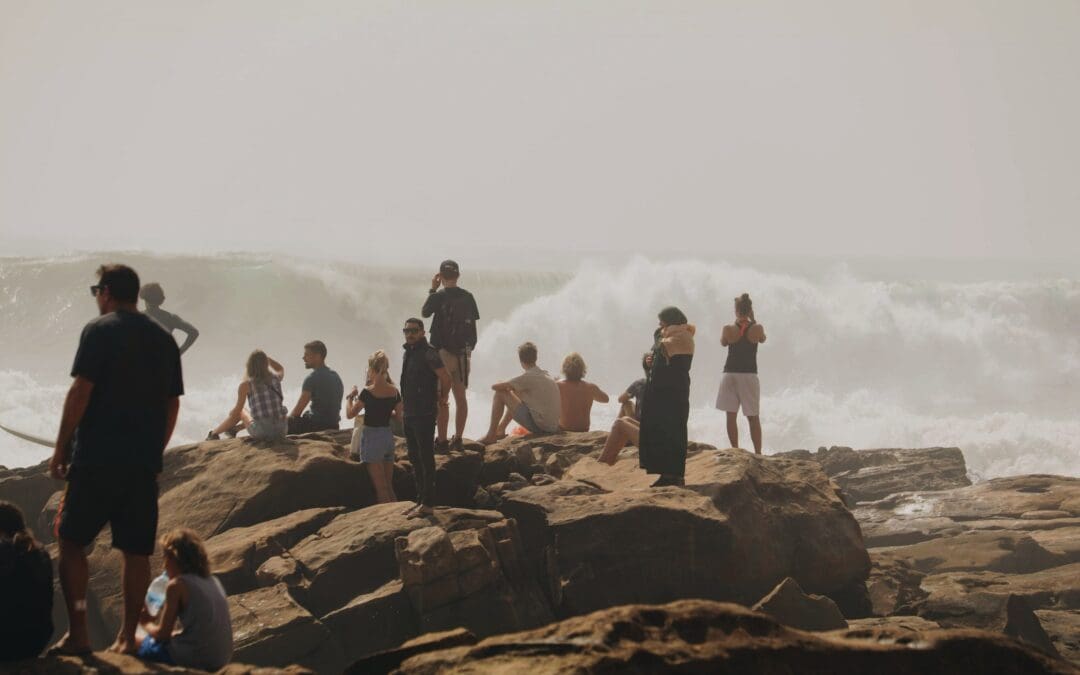 Swell video to make you well jeal