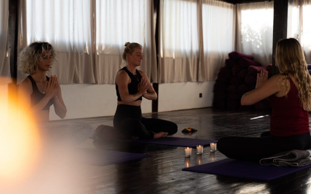 Get back to your human form at Mandala!