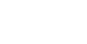Guardian logo light
